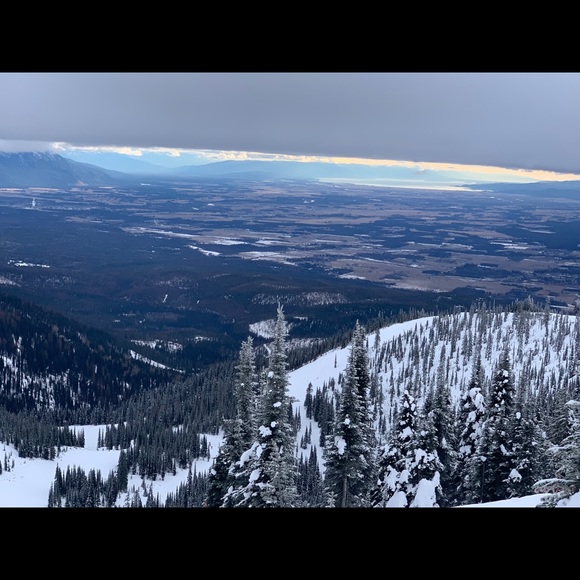 Meet your Posher, Amy - Picture 1 of 1